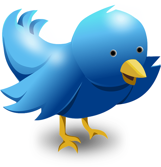 twitter logo