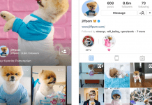 IGTV App–Instagram’s Video App for Long Form Vertical Videos IGTV App