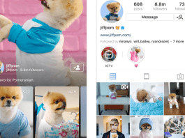 IGTV App–Instagram’s Video App for Long Form Vertical Videos IGTV App