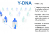 A Review of Familytreedna.com Family Tree DNA