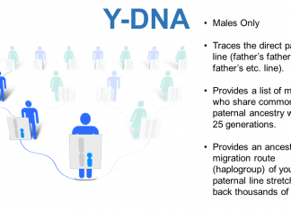 A Review of Familytreedna.com Family Tree DNA