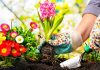 Super Tips To Prepare Your Garden For Spring Prepare Your Garden For Spring