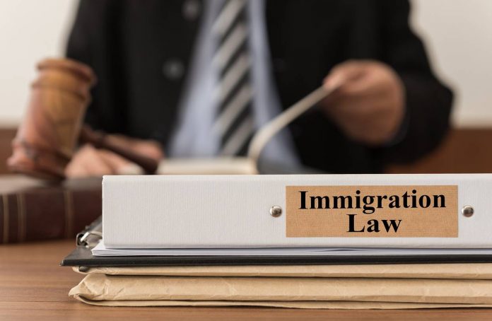 Immigration Lawyer