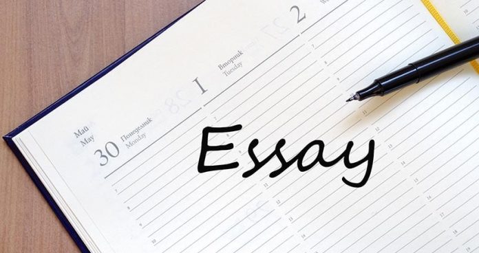 Essay Writing Skills