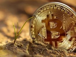 Things You Should Know About Crypto Signals Bitcoin Crypto Currency