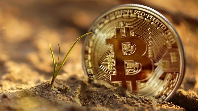 Bitcoin Crypto Currency Bitcoin Crypto Currency