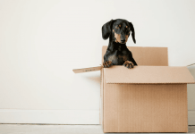 Looking for an In-Home Moving Estimate?