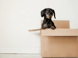 Looking for an In-Home Moving Estimate?