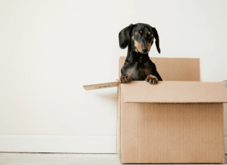 Looking for an In-Home Moving Estimate?