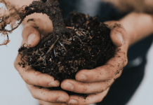 Simplified Soil – How to Make Gardening Easier Simplified Soil Gardening