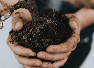 Simplified Soil – How to Make Gardening Easier Simplified Soil Gardening