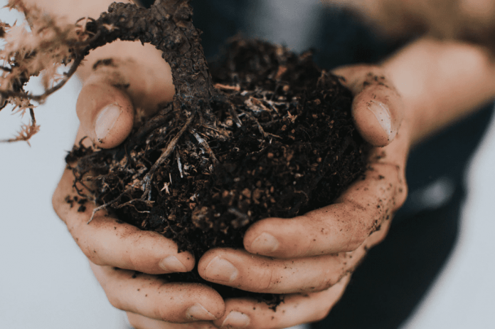 Screenshot_2019-04-12 Hands, dirt, root and plant HD photo by Kyle Ellefson ( kylellefson) on Unsplash Simplified Soil Gardening