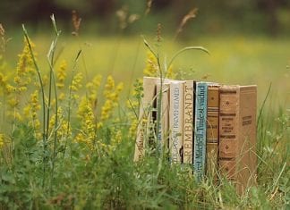 Why College Students Address Essay Writing Services how to write an essay