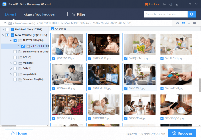EaseUS Data Recovery-Preview