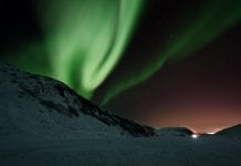 The Magical-Northern Lights Strain