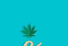 The Difference Between CBD and THC – Things You May or May Not Know Yet