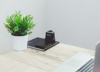 Need Some New Desk Decor? The 5 Best Office Desk Plants
