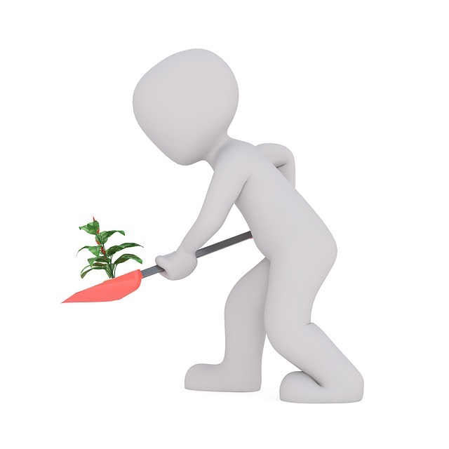 garden, gardening, garden work