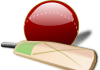 Fantasy Cricket: Tips and Tricks
