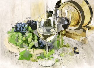 The Wine Making Process – Red Wines and White Wines