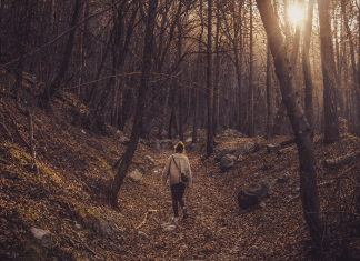 6 Things That Can Help You Find Inspiration for Writing?