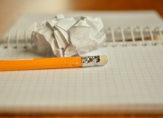 Top Five Qualities to Look for in an Essay Writing Service