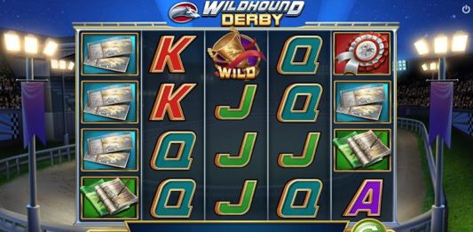 How to play slot online games? Wildhound Derby slot