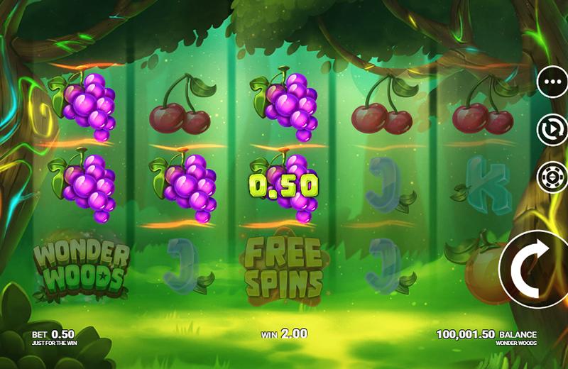 Wonder Woods slot