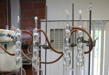 Step-by-Step Guide to Writing a Scientific Lab Report