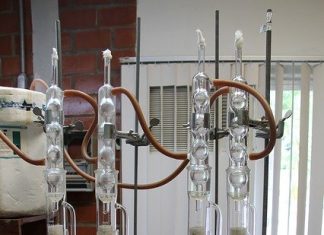 Step-by-Step Guide to Writing a Scientific Lab Report