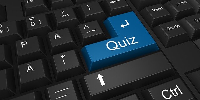 quiz, exam, questionnaire