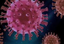 How Coronavirus Could Impact Start-up Funding Coronavirus