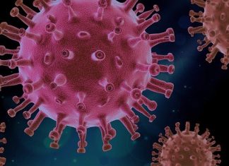 How Coronavirus Could Impact Start-up Funding Coronavirus