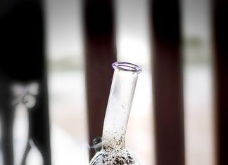 Useful Things to Know about Smoking Cannabis using Percolator Bongs