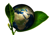 How Companies Can Use Technology to Protect the Environment