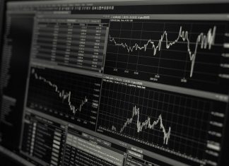 4 Tips to Keep in Mind When Investing in Dividend Stocks