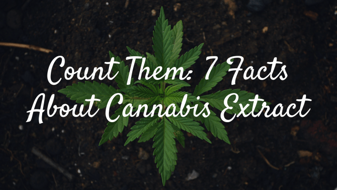 Count Them_ 7 Facts About Cannabis Extract