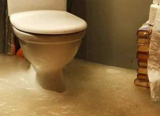 How to Handle a Toilet Overflow?