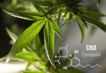 What you need to know about CBD tablets