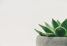 Causes of plant explosions