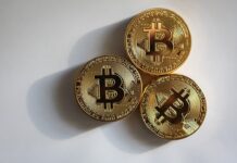 Take a Dive Into the World of Bitcoin Trading With This Guide!