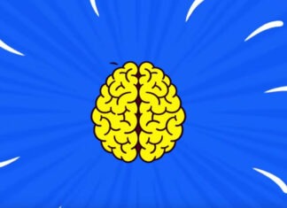 The 9 Best Online Brain Training Games Brain Games