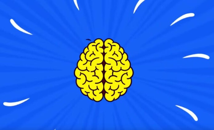 Brain Games Brain Games