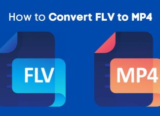 How to Convert FLV to MP4 (Online & Offline) How to Convert FLV to MP4