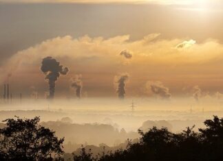 Ideas for ways to reduce your carbon footprint