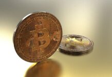 Important Aspects You Must Consider Before Investing Money in Bitcoin