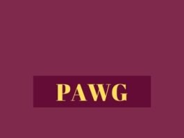 PAWG – What is the Meaning of This Term/Slang?