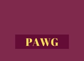 PAWG – What is the Meaning of This Term/Slang?