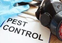 6 Factors to Consider When Hiring a Pest Control Expert Pest Control