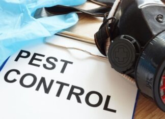 6 Factors to Consider When Hiring a Pest Control Expert Pest Control